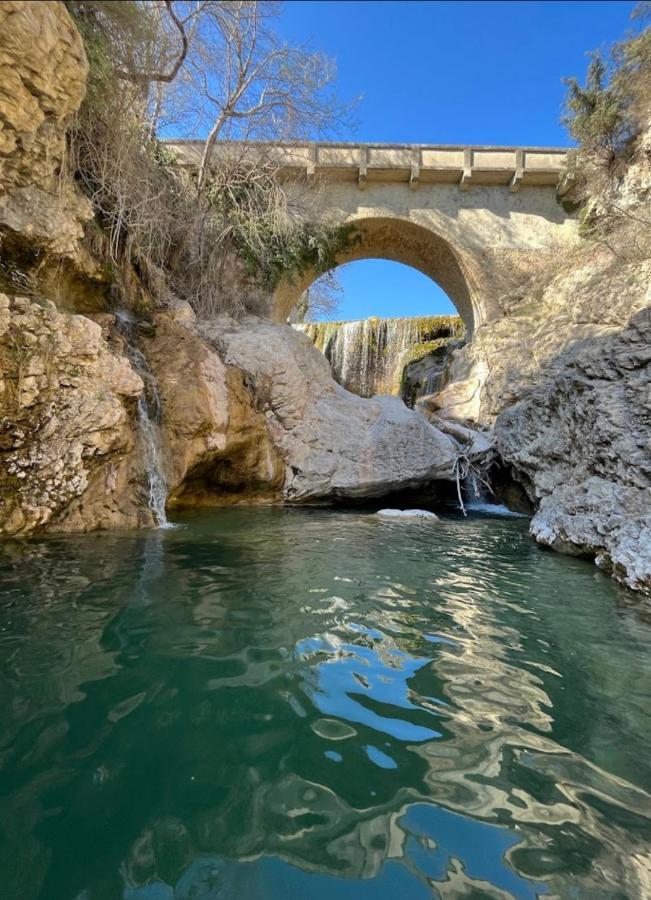 Sous Les Etoiles En Provence, Gite Les Bambous Lurs Экстерьер фото